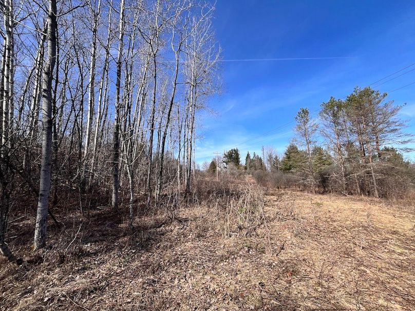 Lewis_26_Somberg Photo 4