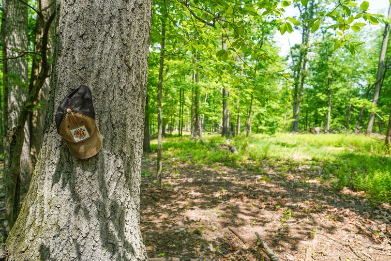 York 86 Ground Photos-08