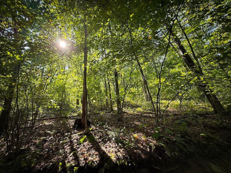 Tioga NY 86.705 Capwell Photos 31