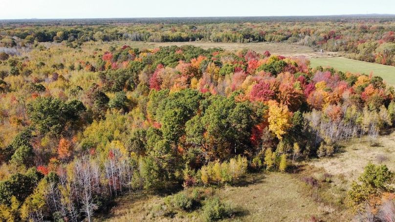 dji_fly_20241010_133734_433_1728585624025_photo_optimized