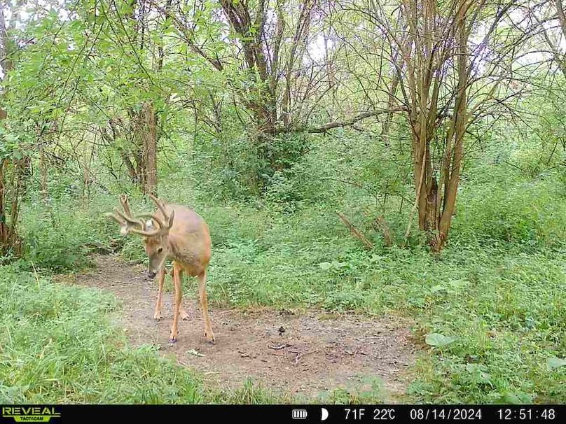 860322062166886-50-4-08142024125148-V-W1002381