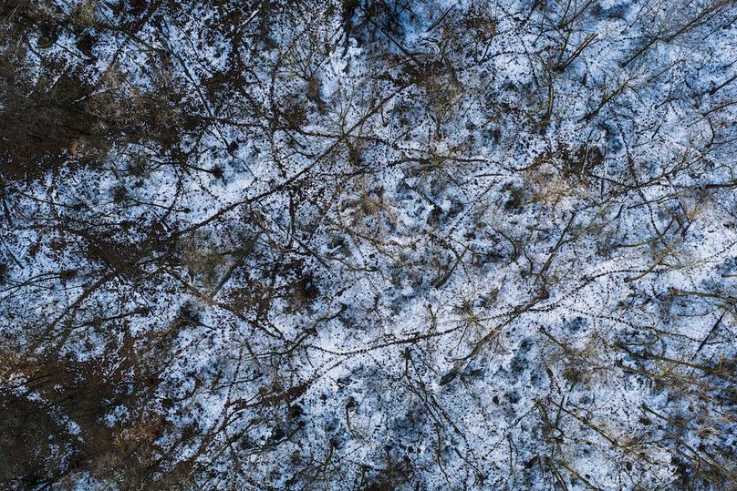 DJI_20251223083613_0236_D