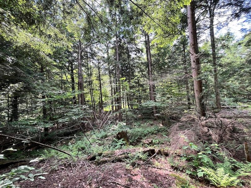 Oswego_133.72_Middleton_Photos_45