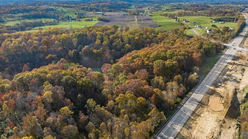 91-z 46585 Morning Star138