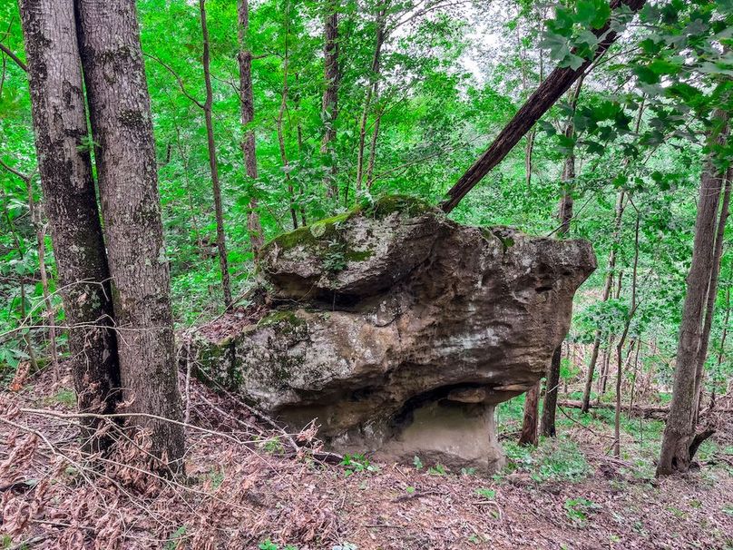 Wirt, WV 137.45 AC Full-20