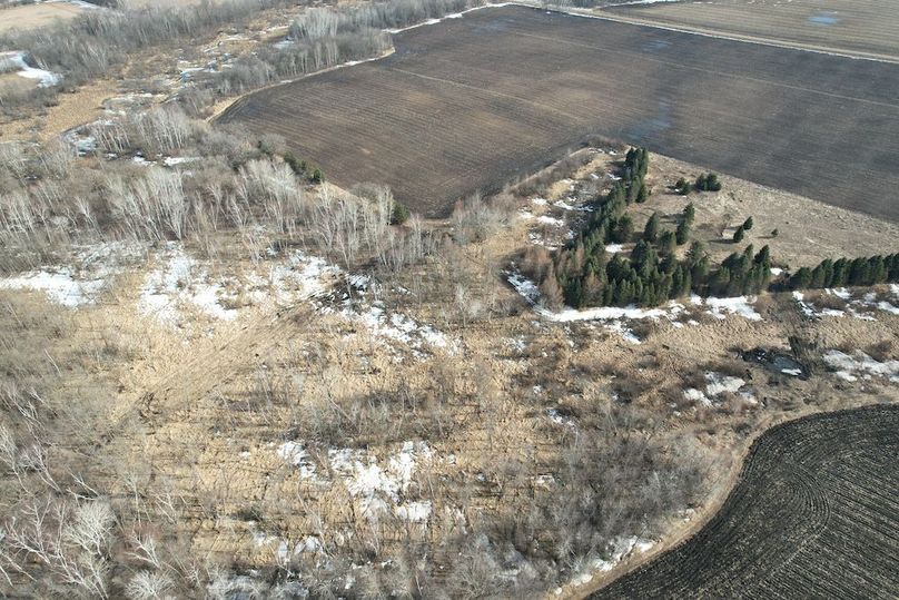 dji_fly_20260319_161516_131_1773955086817_photo