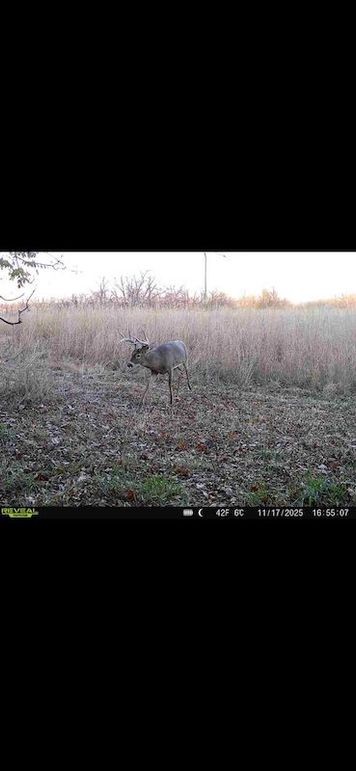 Screenshot 2026-02-27 at 4.06.06 PM