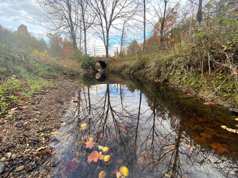 002 Little Blackwater Creek running through the property copy