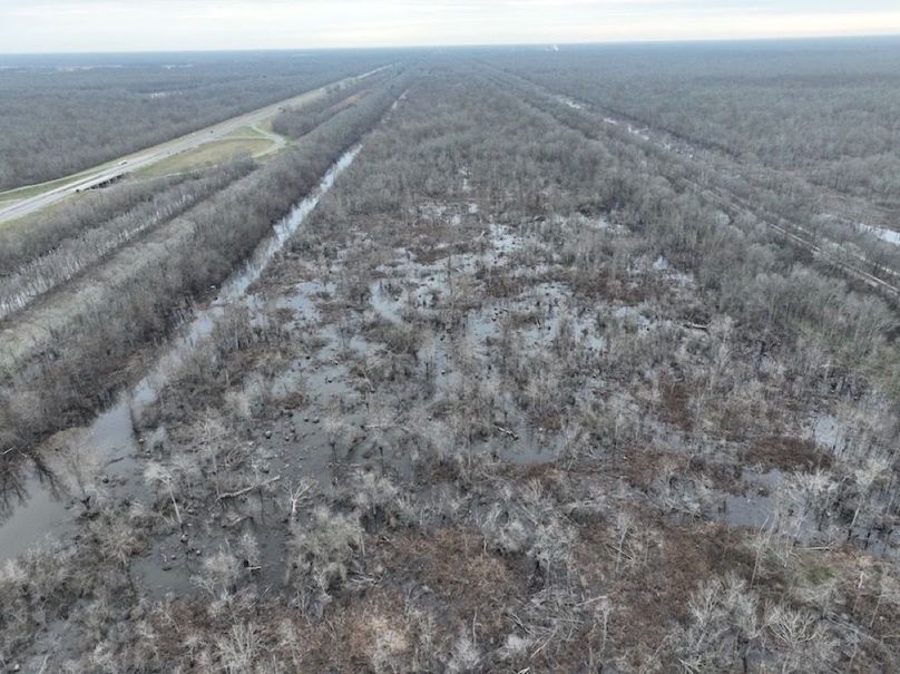 dji_fly_20250206_103158_968_1738862300572_photo