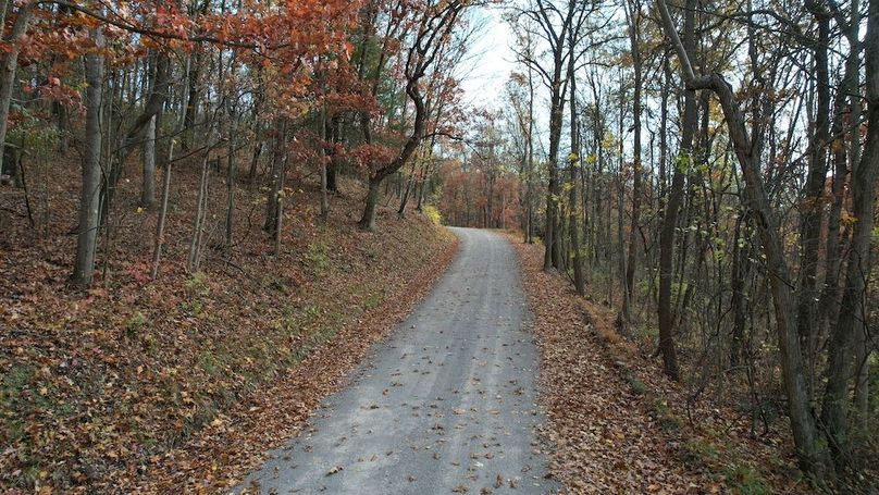 dji_fly_20251105_122016_893_1762380947369_photo