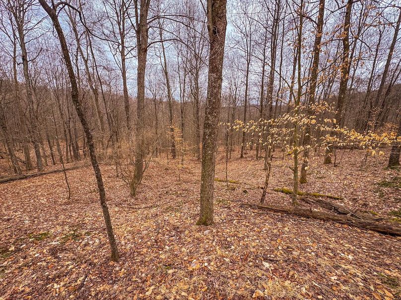 Tyler, WV 90 AC Burkhart-54