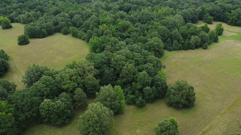 DJI_0255