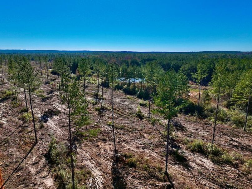 9BED4469-27E7-44E2-9D3B-606E170564FC_1_201_a