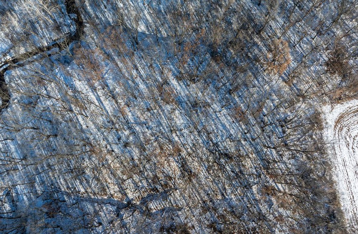 DJI_20251209100502_0017_D