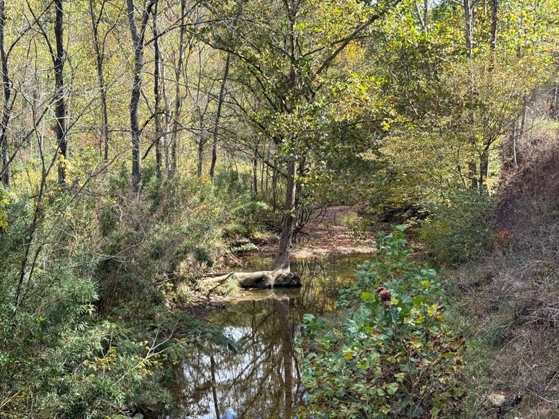 012 the blue line stream leading along Hunting Creek Road