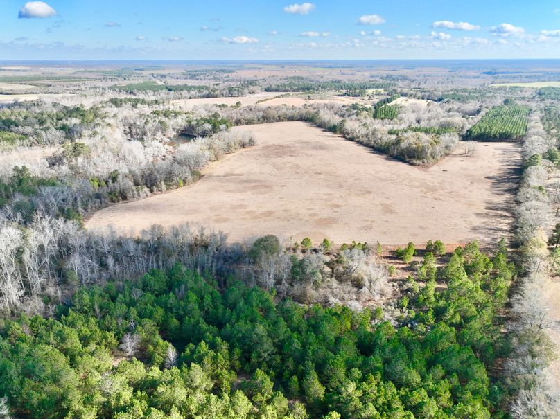 dji_fly_20231230_105754_7_1703952429354_photo