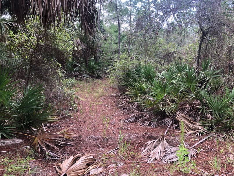 1. Trail at the center of the property