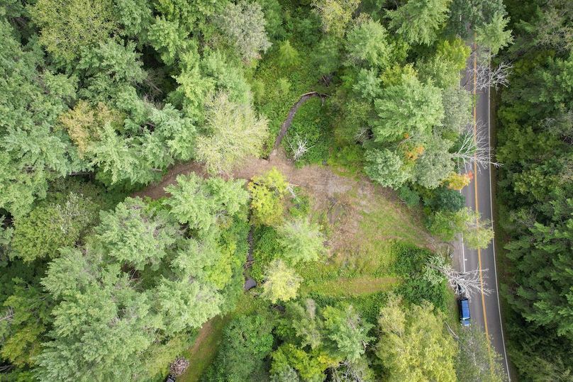 Chemung_60.55_Baumunk_Photos_3