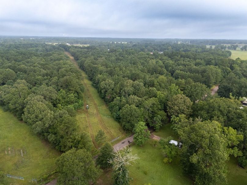 22 Panola Co. 40ac - Rouse-21