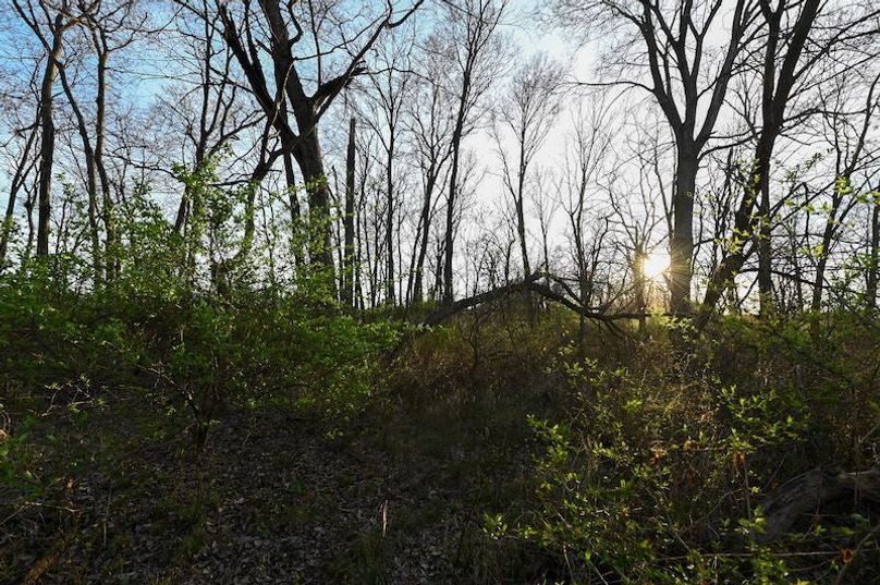 vandalia 450 (2)-2305