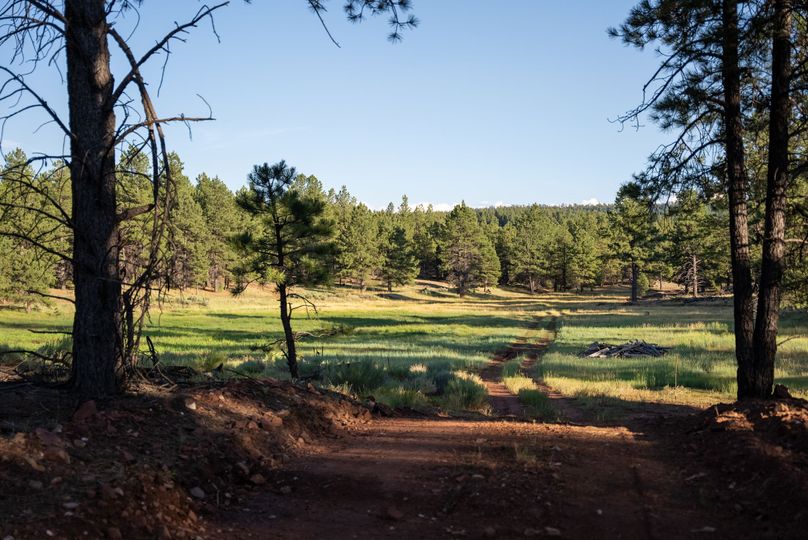 Cibola NM 13,053--94