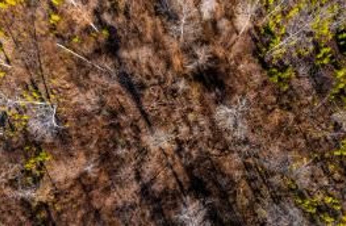 MCKINNON TRACT 18B-05