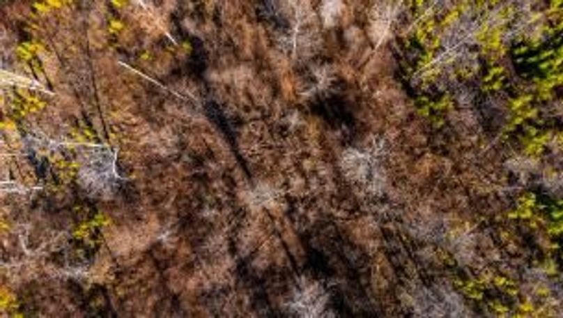 MCKINNON TRACT 18B-05