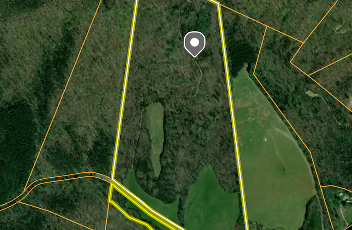 Screenshot 2025-03-29 at 10.52.00 AM