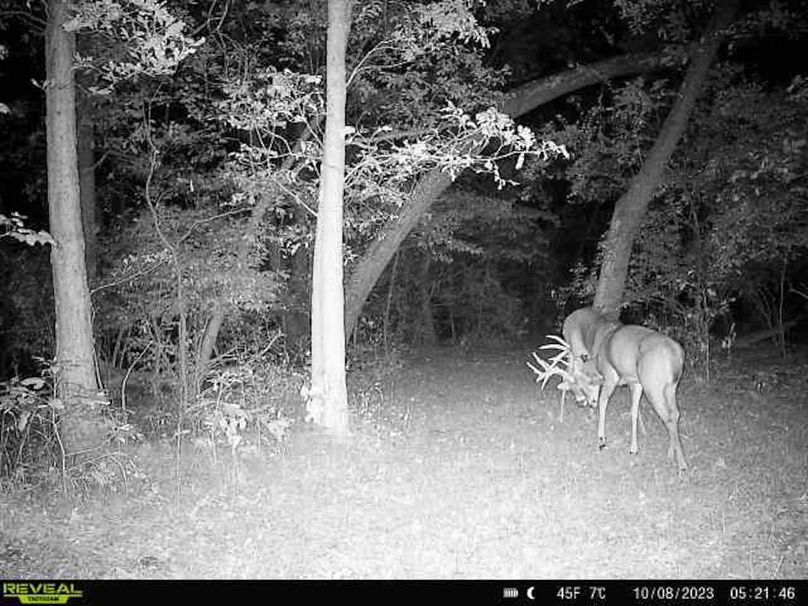 6a2aa534-ef3e-4e23-bda9-ac72d899269d