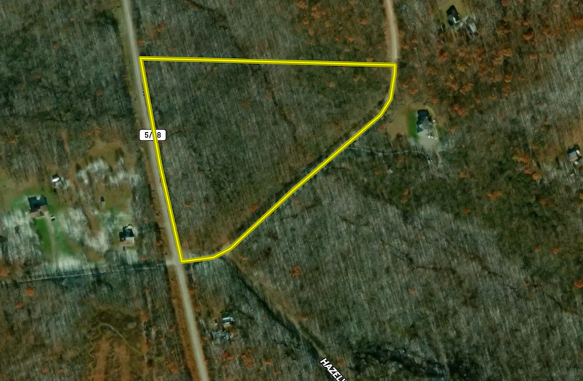 Screen Shot 2025-04-04 at 7.15.38 AM