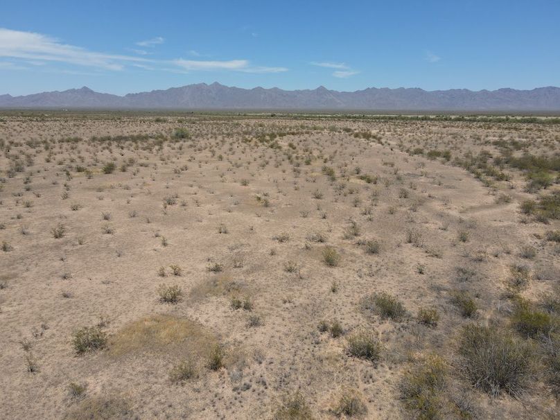 14dji_fly_20240611_125858_608_1718136006264_photo