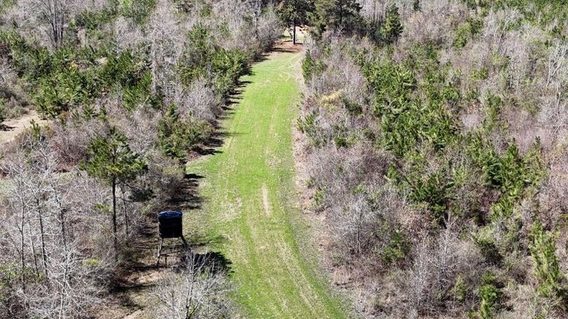 Copy of DJI_20260314020605_0121_D