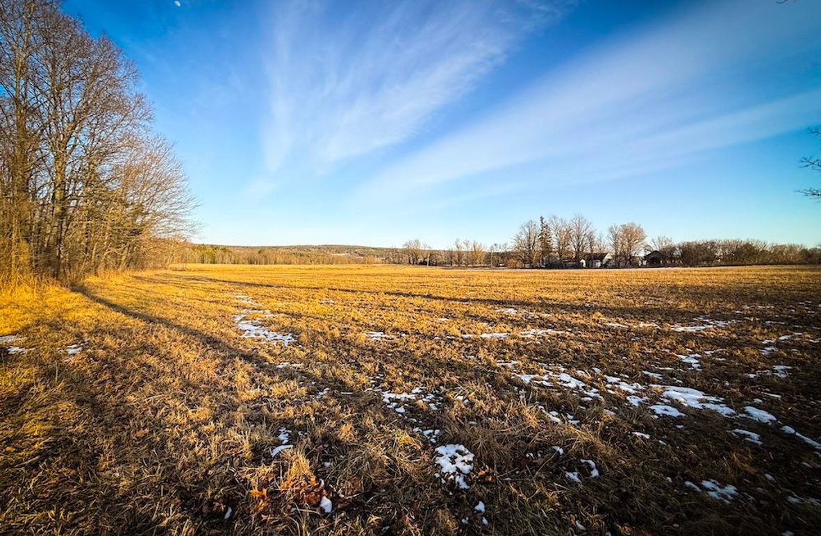 Seneca_24.54_Hohwald_Photos_5