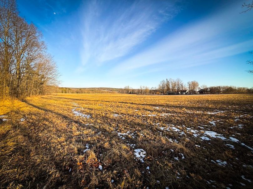 Seneca_24.54_Hohwald_Photos_5