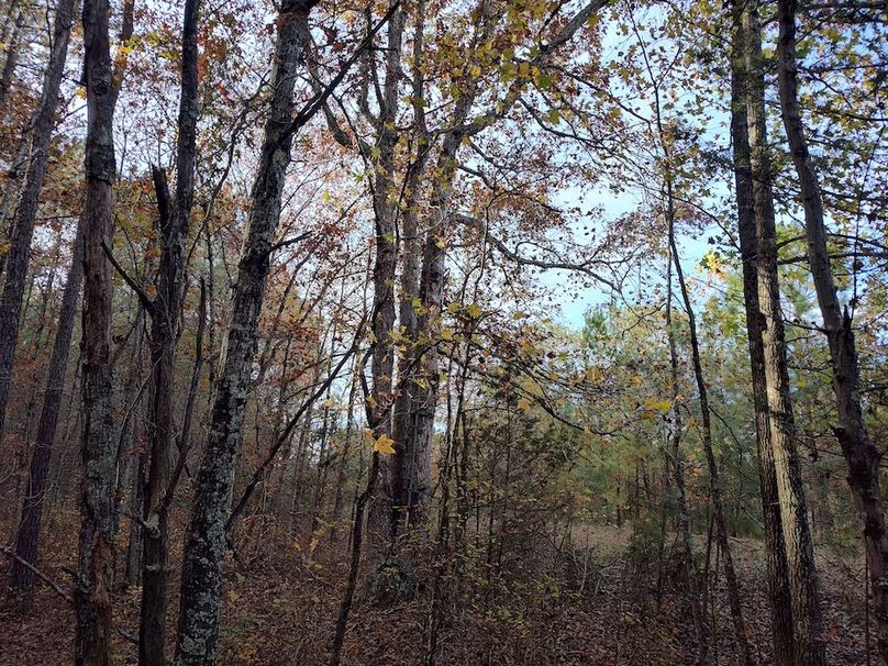 IMG_20251105_151249872_HDR