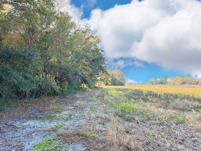 027BCCE9-D354-45C3-871D-1A0758BCB2AA