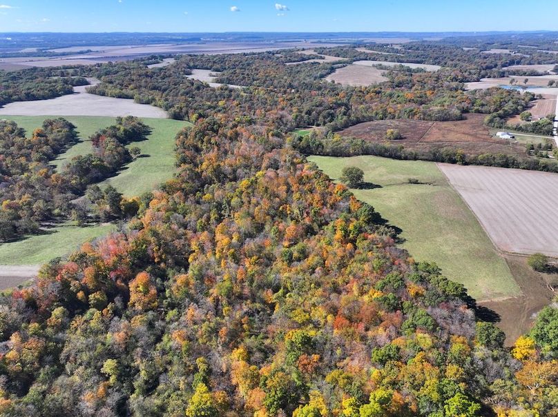 Copy of DJI_20251031130518_0775_D