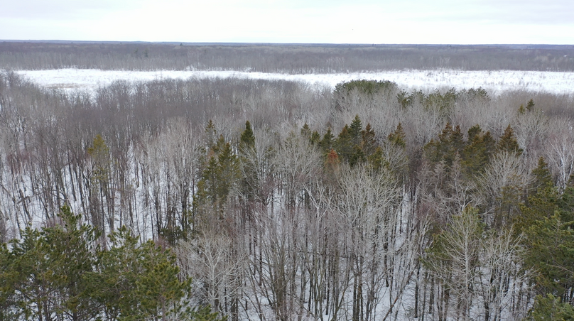 Screenshot 2023-04-04 at 11.19.32 AM