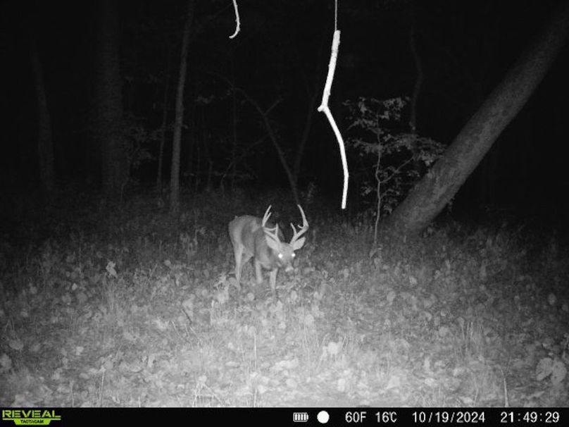 860322062494817-20-3-10192024214928-V-W1001196