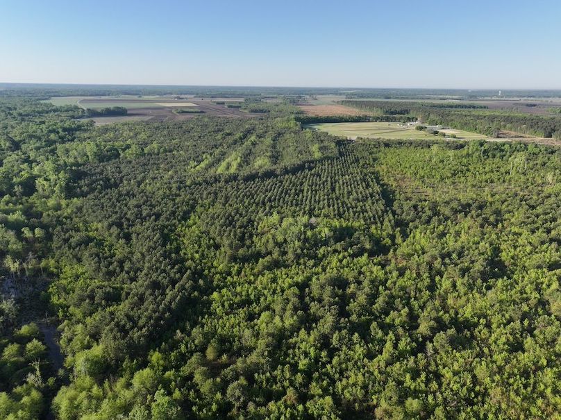 DJI_20250417073529_0025_D