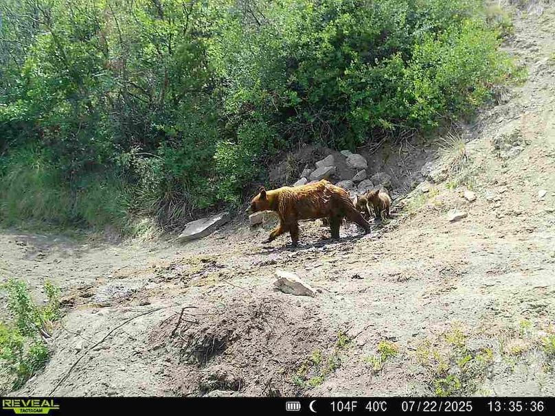 860516063676799-100-3-07222025133536-V-W1010390