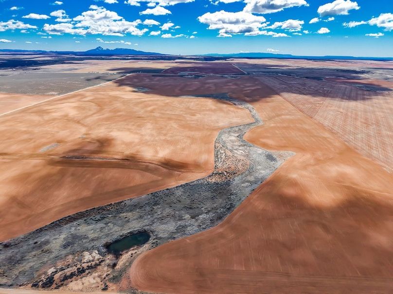 DJI_20260307125250_0085_D