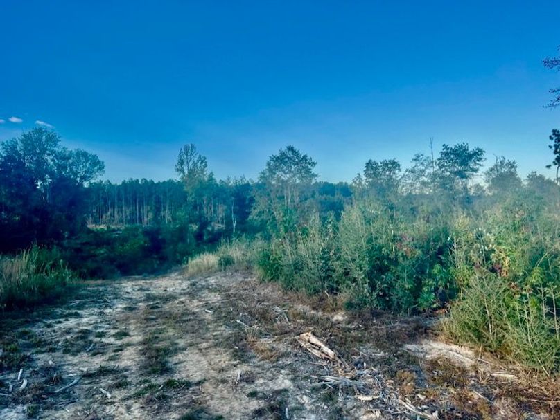 91848DBC-B844-40C3-9EAF-40BF61BA1827_1_105_c