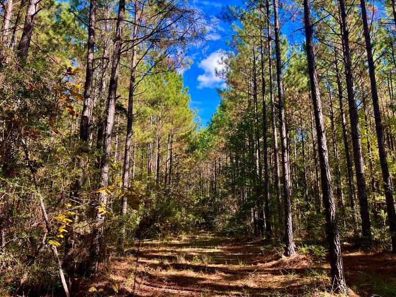 659AAF15-866F-40EA-8C31-7B1474BE6F57_1_201_a