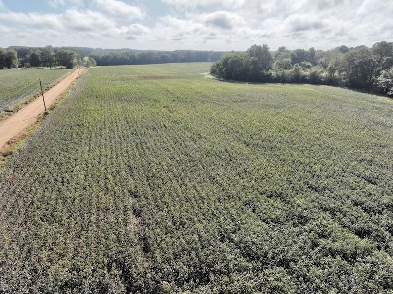 dji_fly_20251007_100528_213_1759846418012_photo