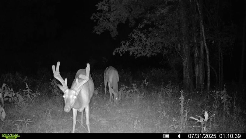 016578002181243-88-3-07312025011039-SYFW00470