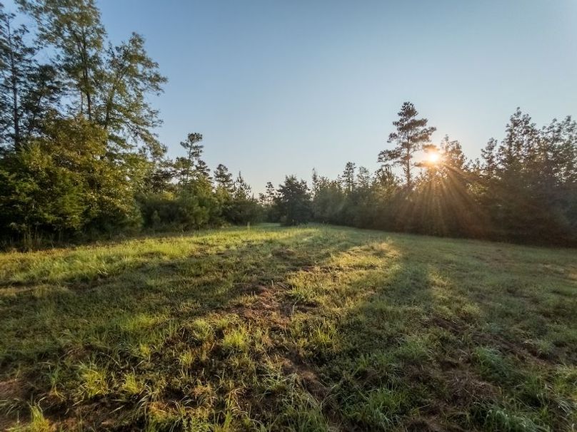 Hinds Co - 78 - Newman-15