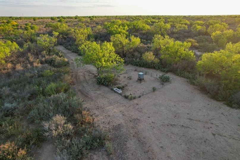DJI_0714