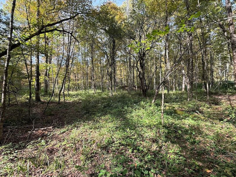 Tioga_30_Flanner Photo 35