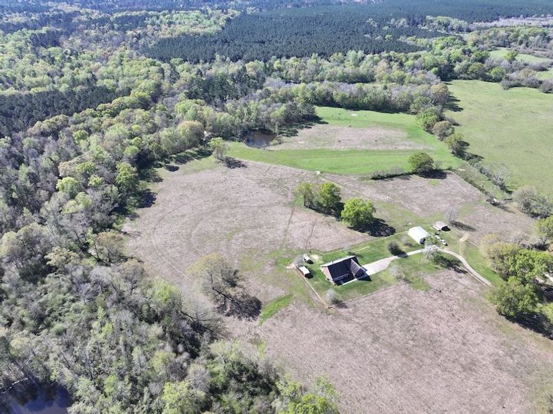 dji_fly_20260317_084544_0363_1773768891639_photo